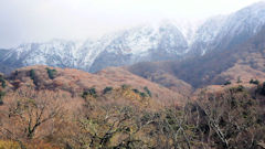 大山ペンション村の雄峰（ゆうほう）ペンション 遊峰見てある記